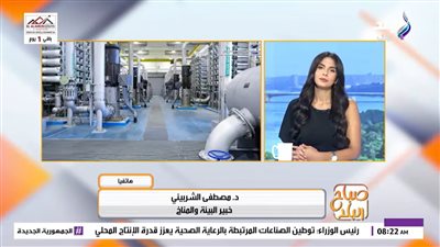  الدكتور مصطفى الشربيني    