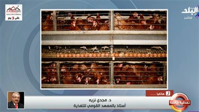  الدكتور مجدي نزيه    