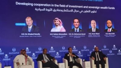 مصر والإمارات تعززان الشراكة الاستثمارية    