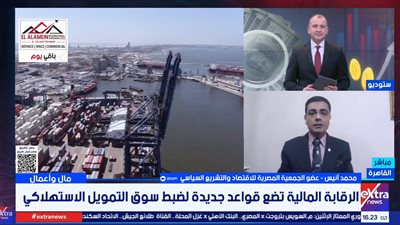 محمد أنيس    
