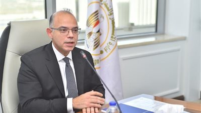 وزير الاستثمار محمد فريد صالح    
