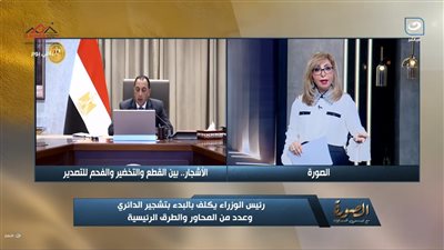 لميس الحديدي    