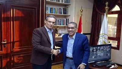 ضياء رشوان وعبد الجليل الشرنوبي    