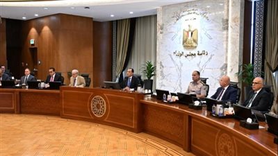 مجلس الوزراء    