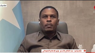 وزير الإعلام الصومالي    