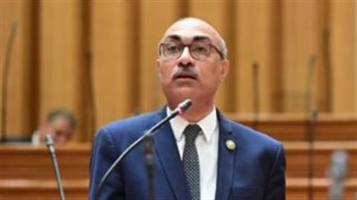 النائب إيهاب منصور     