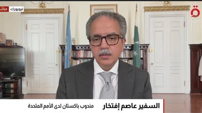 السفير عاصم افتخار    