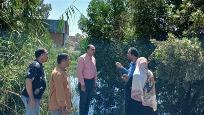 ظهور «تمساح» بين عزبتي السدرة وأسعد    