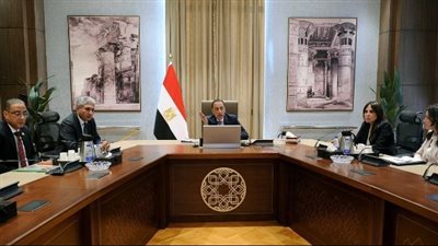 صورة من اللقاء    