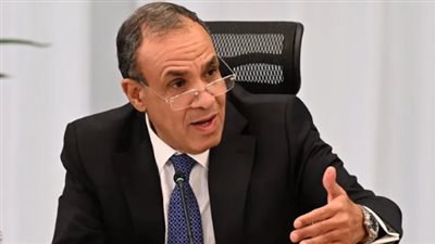 الدكتور بدر عبد العاطي، وزير الخارجية    