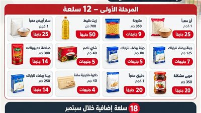 مبادرة التموين    
