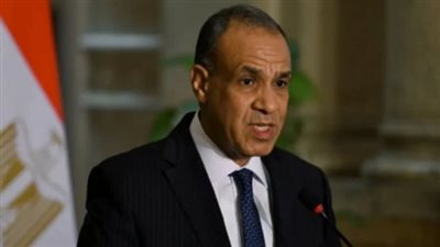 الدكتور بدر عبد العاطي، وزير الخارجية    