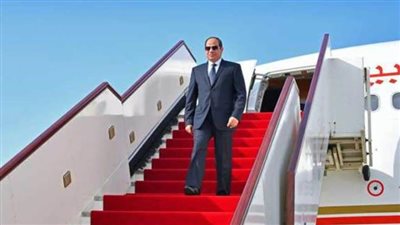 الرئيس السيسي     