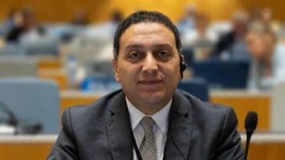 المستشار محمد عادل    