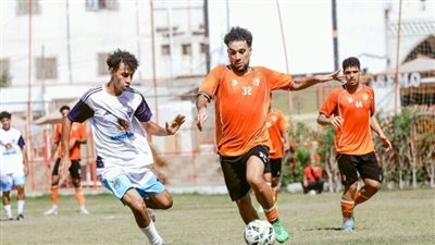 المنصورة والسنبلاوين     