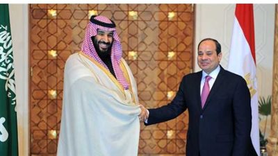 الرئيس السيسى وولى العهد السعودى    