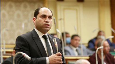 النائب عمرو درويش     