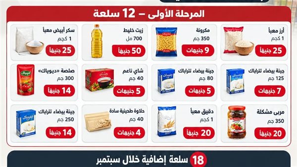 مبادرة التموين    