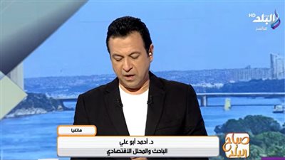 الباحث الاقتصادي أحمد أبو علي     