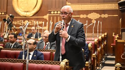 النائب حازم الجندي    