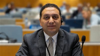 المستشار محمد عادل    