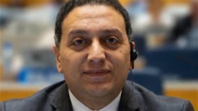 المستشار محمد عادل    