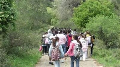 الرحلات المدرسية    