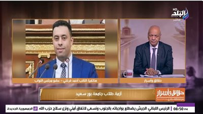 النائب أحمد فرغلي    