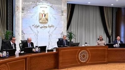 مجلس الوزراء    