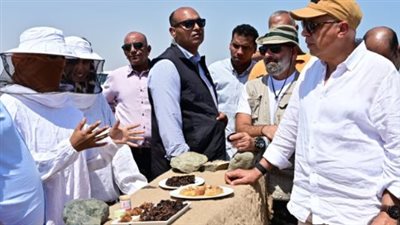 وزير الموارد المائية والري    