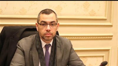 الخبير الاقتصادي محمد فؤاد    