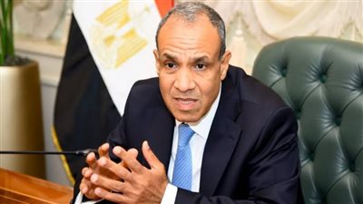 بدر عبد العاطي    