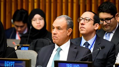 الوزير بدر عبدالعاطي    