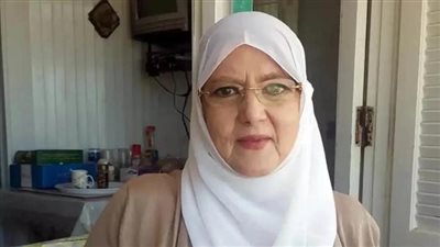 شمس البارودي    