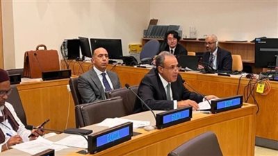 بدر عبد العاطي    