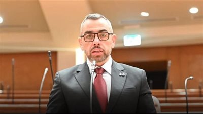 النائب محمد فؤاد    