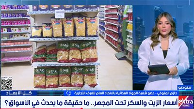 حازم المنوفي    
