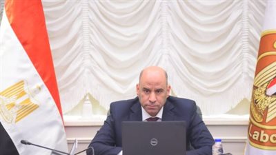 وزير العمل    
