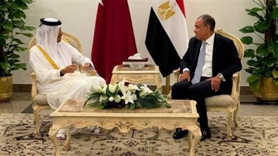 وزير الخارجية ونظيره القطري    