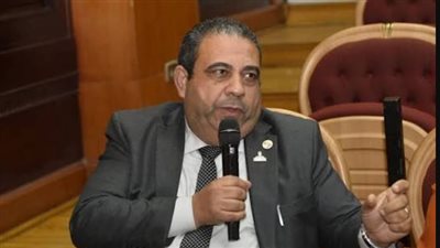  النائب أيمن الصفتي    