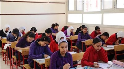 التقييمات الأسبوعية    