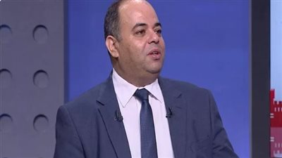 الدكتور عمرو سليمان    