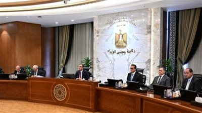 مجلس الوزراء    