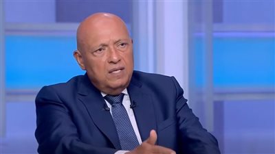 سامح شكري، وزير الخارجية المصري السابق    