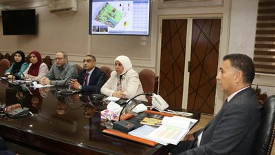 محافظ القليوبية    