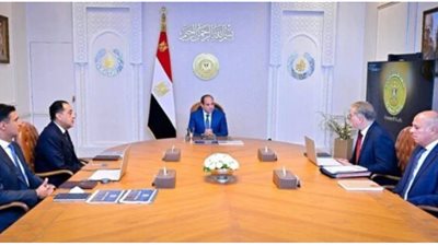صورة من اللقاء    