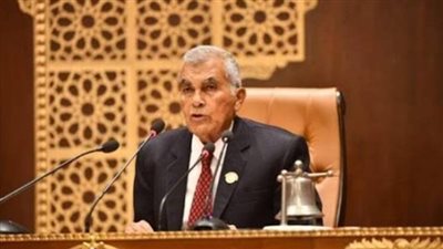  المستشار عصام فريد    