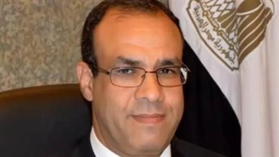الدكتور بدر عبد العاطي - وزير الخارجية    