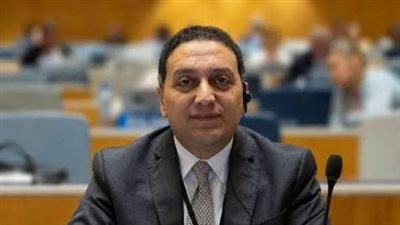 المستشار محمد عادل، المتحدث الرسمي باسم مجلس الوزراء    