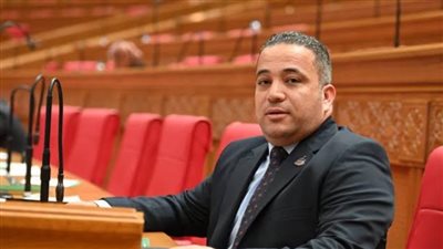 النائب هاني شحاتة    